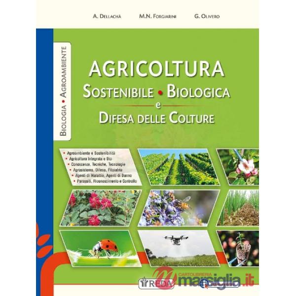 CORSO AGRICOLTURA SOST. E DIFESA COLTURE 2 N.E. EBOOK