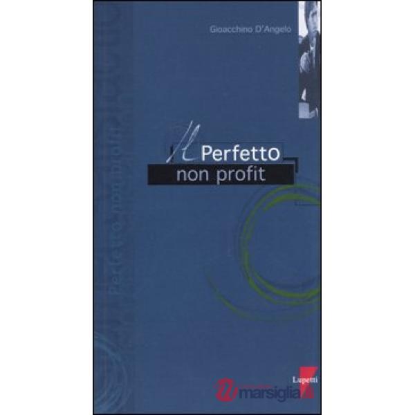 Perfetto non profit (Il)