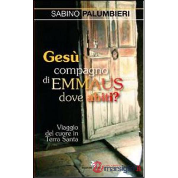 Gesù compagno di Emmaus dove abiti? Viaggio del cuore in Terra Santa