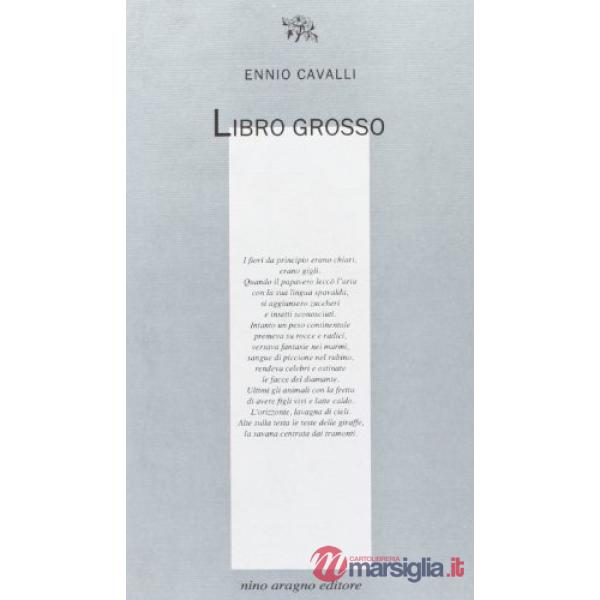 Libro grosso