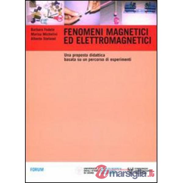 Fenomeni magnetici ed elettromagnetici. Una proposta didattica basata su un percorso di esperimenti