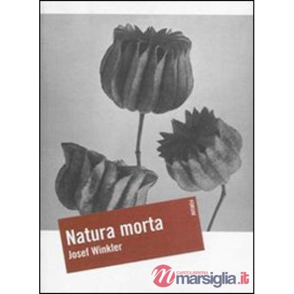 Natura morta