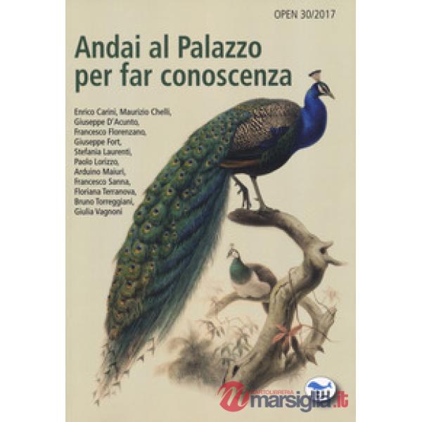 Andai al Palazzo per far conoscenza