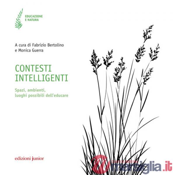 Contesti intelligenti. Spazi, ambienti, luoghi possibili dell'educare