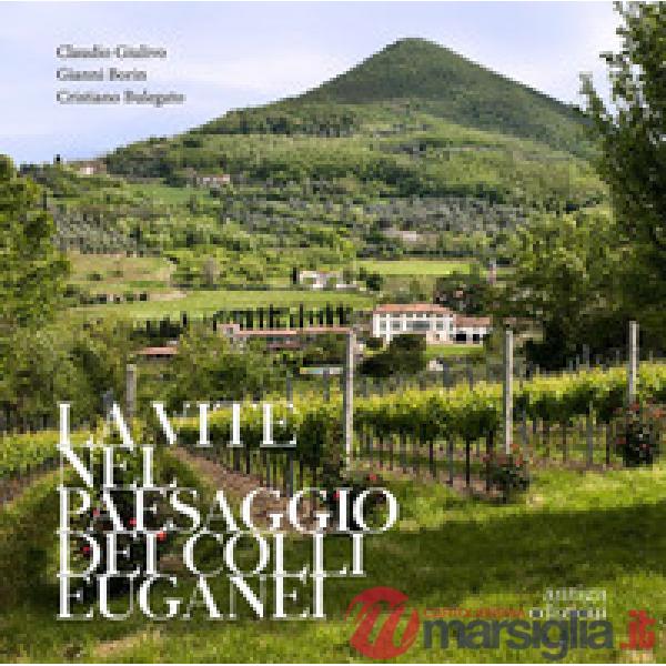Vite nel paesaggio dei Colli Euganei. Cenni storici, elementi visivi del vigneto, distretti e percorsi vinicoli (La)