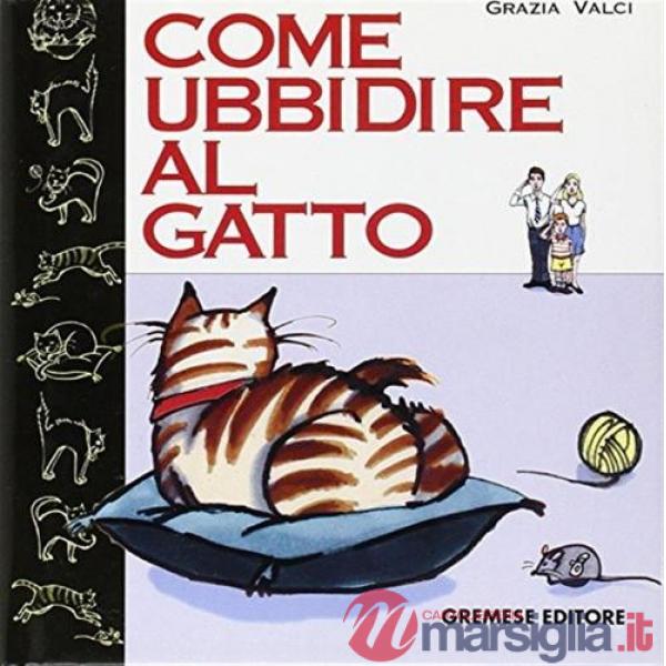 Come ubbidire al gatto