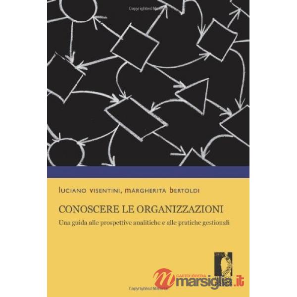 Conoscere le organizzazioni. Una guida alle prospettive analitiche e alle pratic