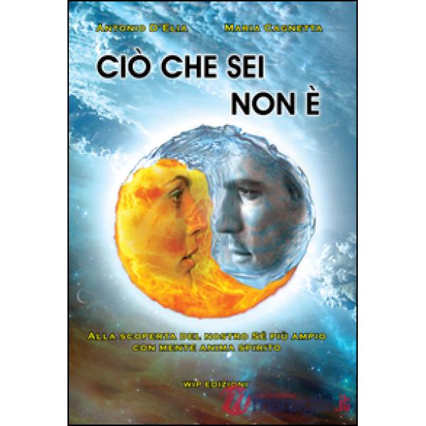 Ciò che sei non è. Alla scoperta del nostro sé più ampio con mente anima spirito