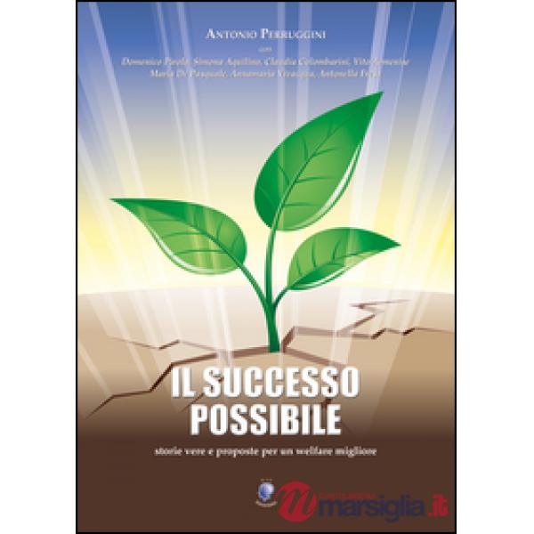 Successo possibile (Il)