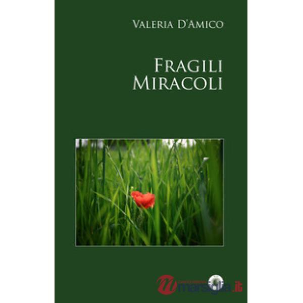 Fragili miracoli