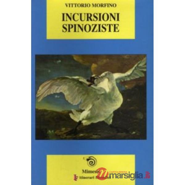 Incursioni spinoziste. Causa, tempo, relazione