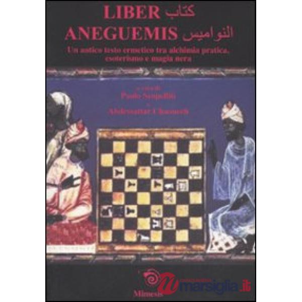Liber Aneguemis
