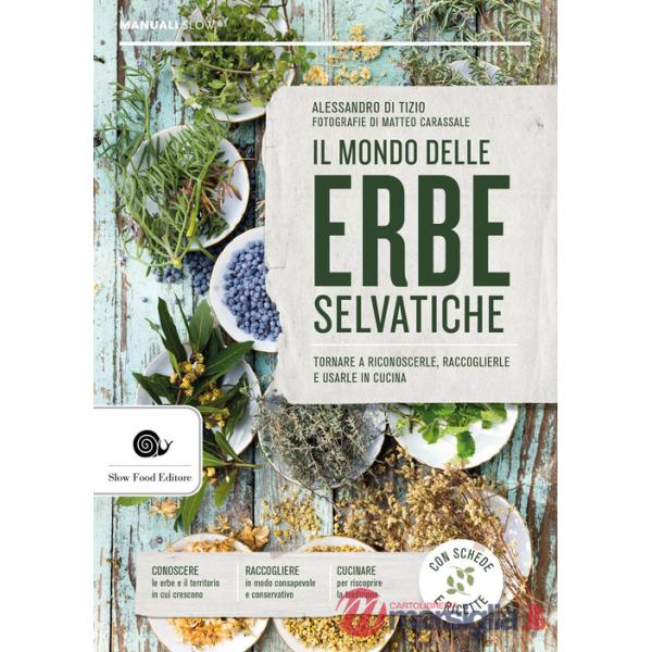 Mondo delle erbe selvatiche. Tornare a riconoscerle, raccoglierle e usarle in cucina (Il)