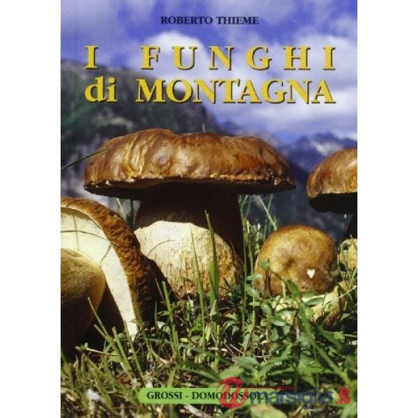 Funghi di montagna (I)