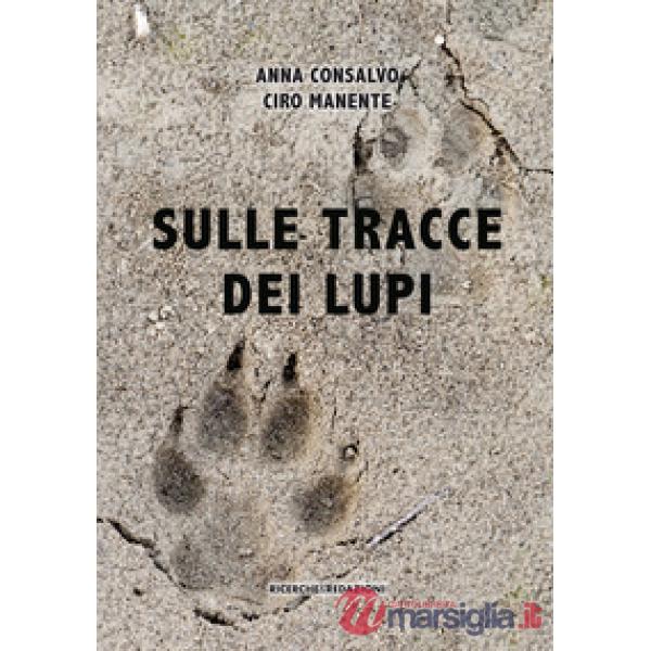 Sulle tracce dei lupi