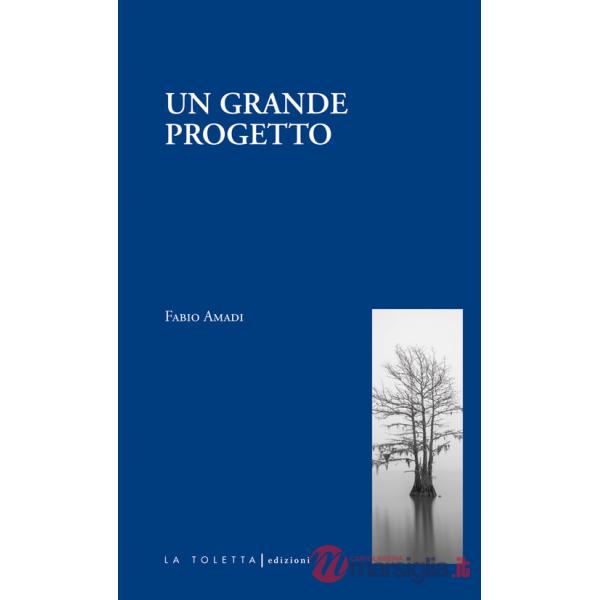Grande progetto (Un)