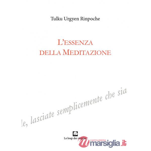 Essenza della meditazione (L')