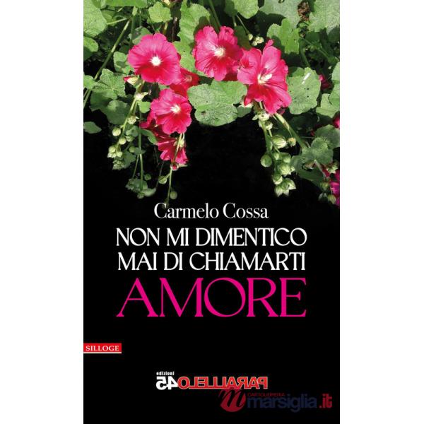 Non mi dimentico mai di chiamarti amore