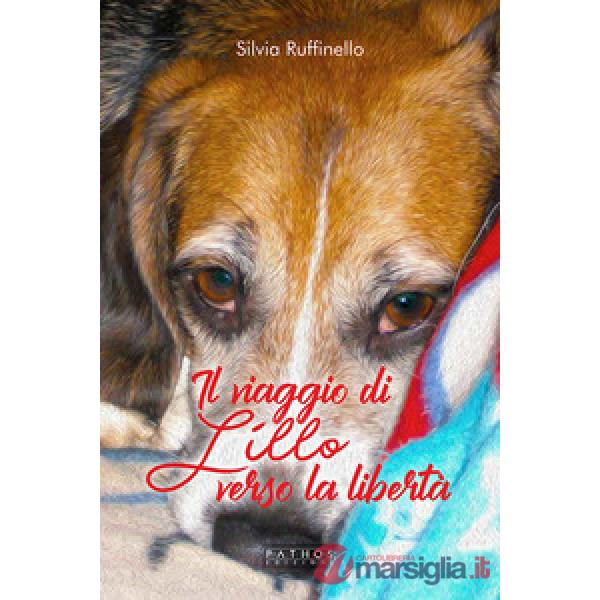 Viaggio di Lillo verso la libertà (Il)