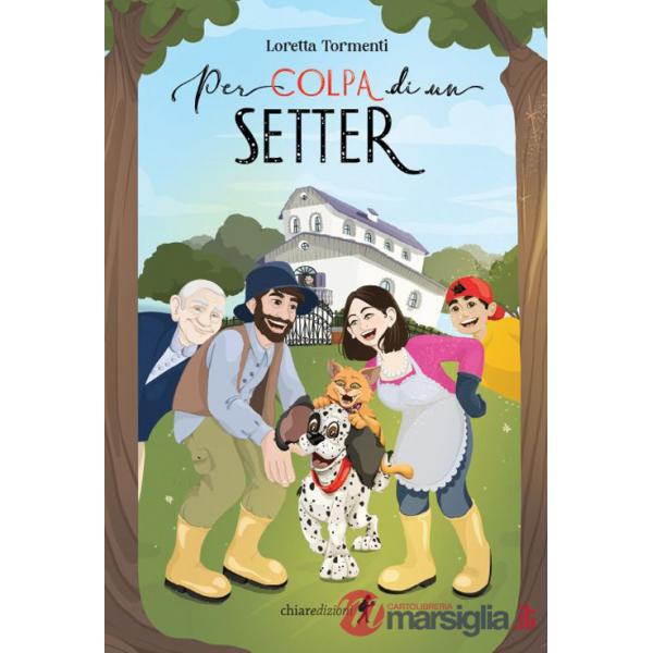 Per colpa di un setter