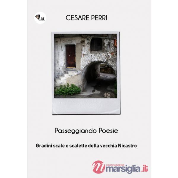 Passeggiando poesie. Gradini, scale e scalette della vecchia Nicastro. Nuova ediz.