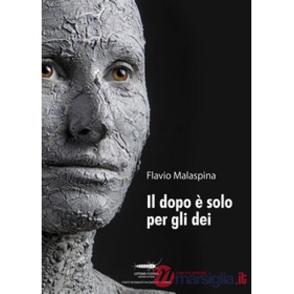 Dopo è solo per gli dei (Il)