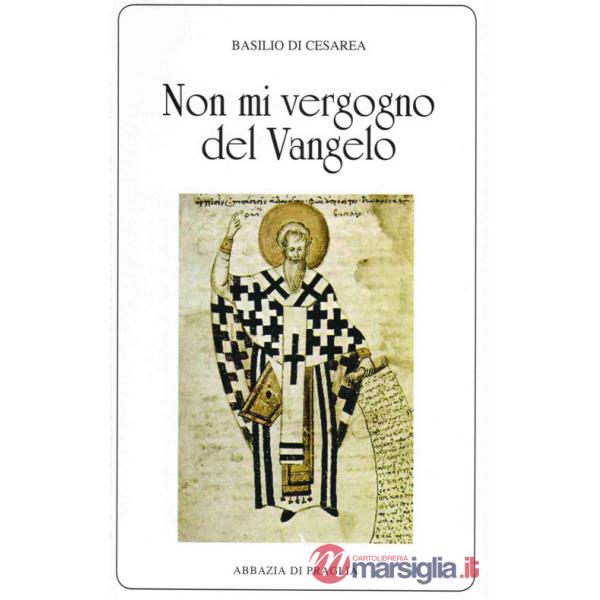 «Non mi vergogno del Vangelo». Omelie scelte