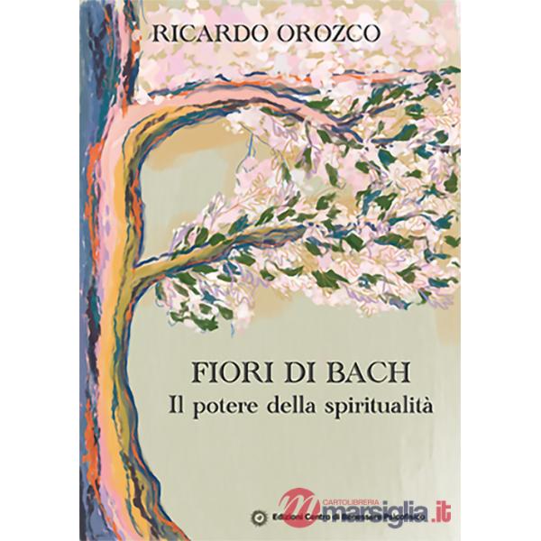 Potere della spiritualità (Il)