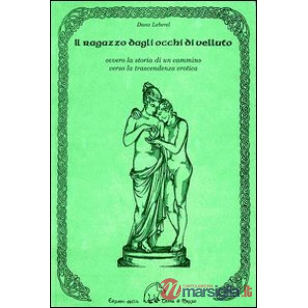 Ragazzo dagli occhi di velluto ovvero la storia di un cammino verso la trascendenza erotica (Il)