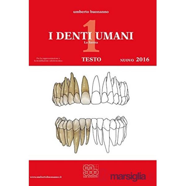 DENTI UMANI 1 (I)