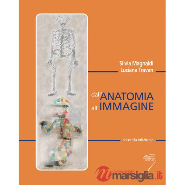 Dall'anatomia all'immagine
