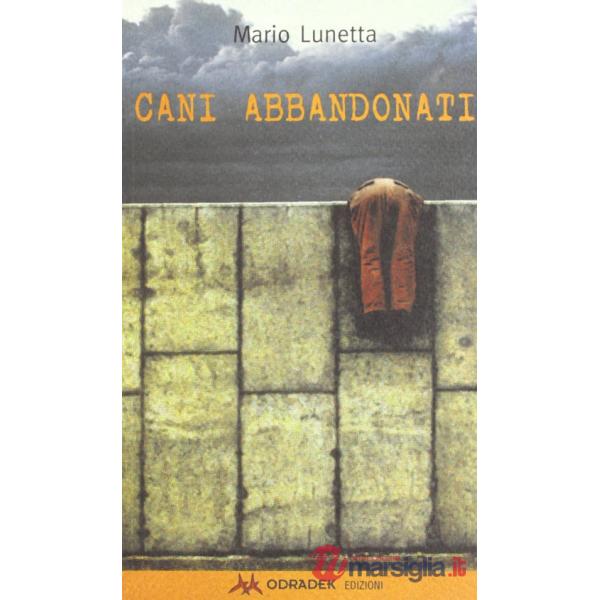 Cani abbandonati