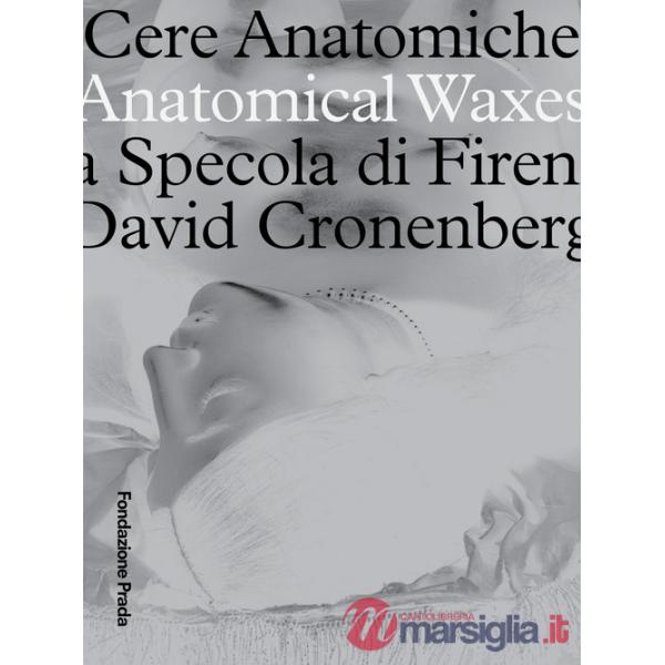 Cere anatomiche. Anatomical Waxes. La Specola di Firenze. David Cronenberg. Ediz. italiana e inglese