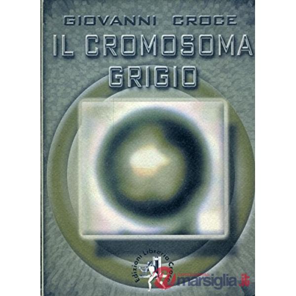Cromosoma grigio (Il)