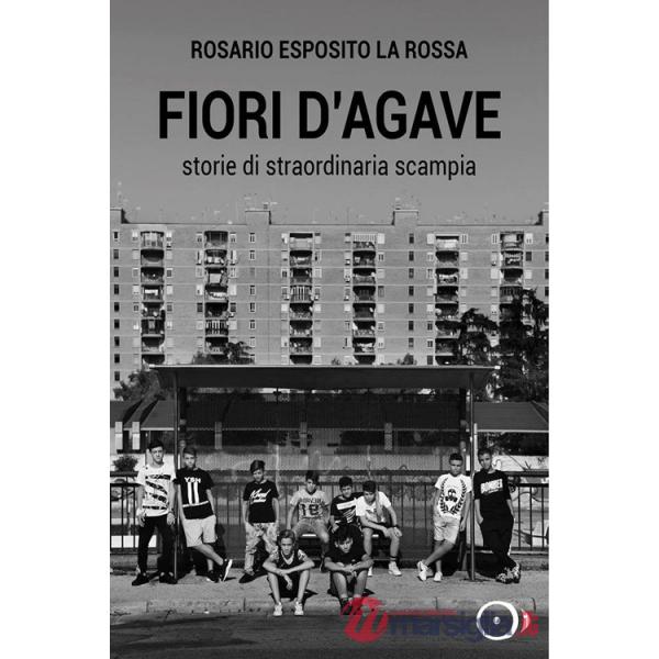 Fiori d'agave. Storie di straordinaria Scampia