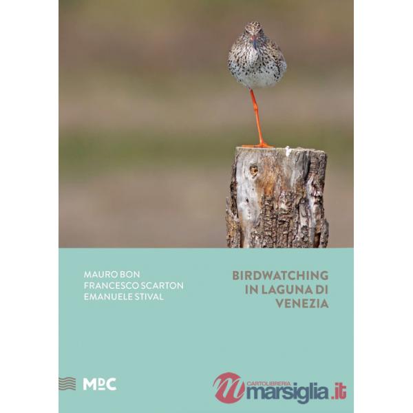 Birdwatching in Laguna di Venezia