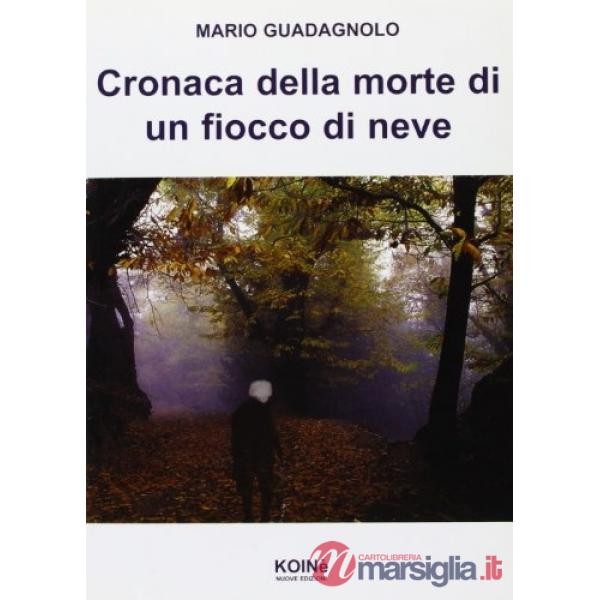 Cronaca della morte di un fiocco di neve