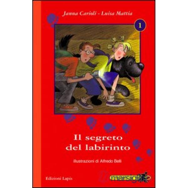 Segreto del labirinto (Il)