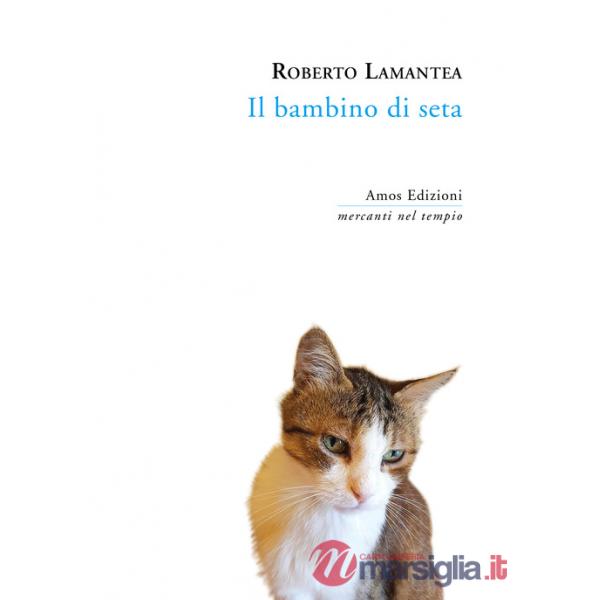 Bambino di seta (Il)