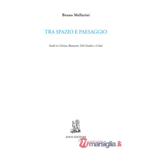Tra spazio e paesaggio. Studi su Calvino, Biamonti, Del Giudice e Celati