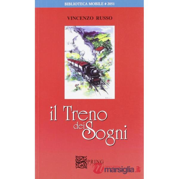 Treno dei sogni. Un viaggio a Lourdes tra fede e allegria (Il)