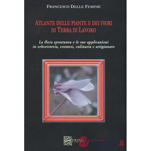 Atlante delle piante e della flora spontanea in terra di lavoro. Ediz. illustrata