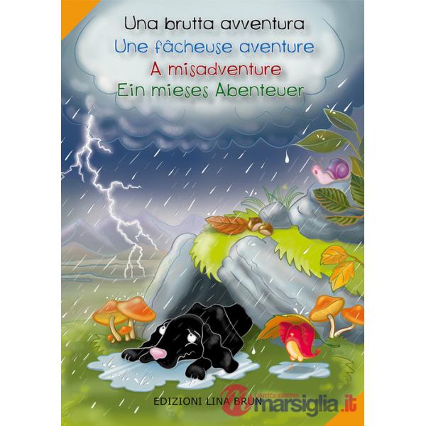 Brutta avventura-Une fâcheuse aventure-A misadventure-Ein mieses abenteuer. Ediz. multilingue (Una)