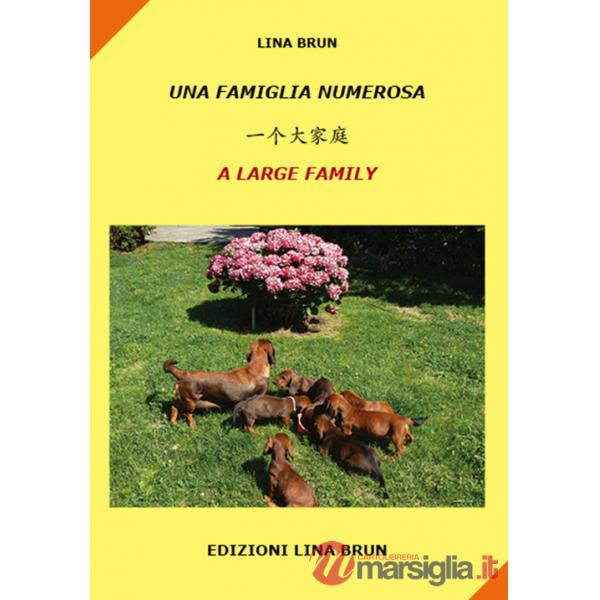 Famiglia numerosa. Ediz. italiana, cinese e inglese (Una)
