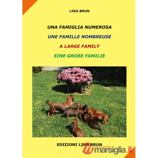 Famiglia numerosa-Une famille nombreuse-A large family-Eine grabe familie. Ediz. multilingue (Una)