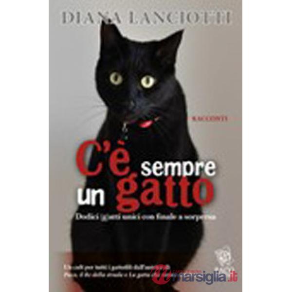 C'è sempre un gatto. Dodici gatti unici con finale a sorpresa