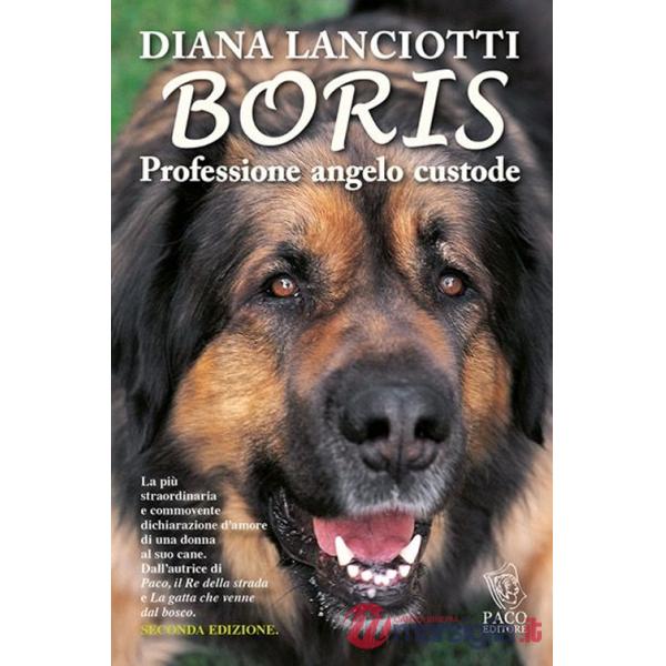 Boris. Professione angelo custode