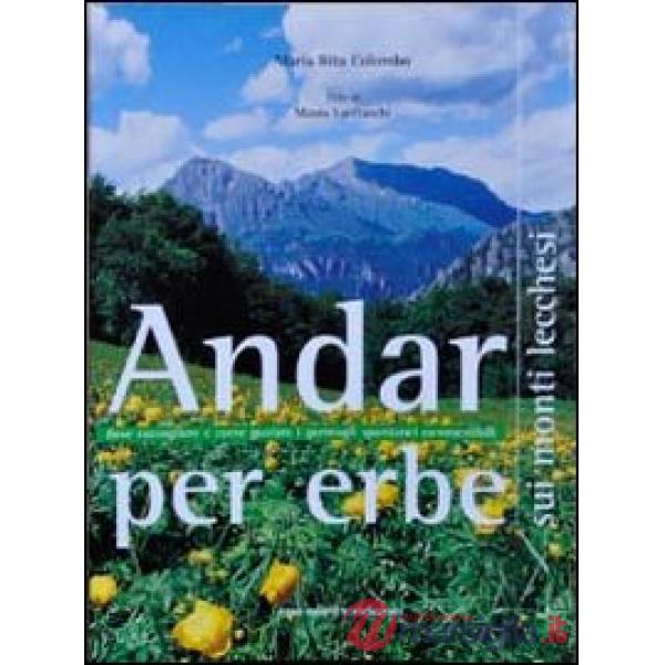 Andar per erbe sui monti lecchesi. Dove raccogliere e come gustare i germogli spontanei commestibili