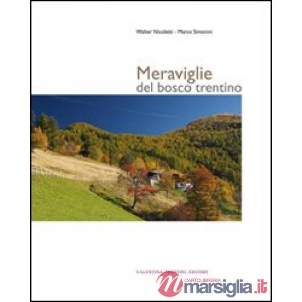 Meraviglie del bosco trentino. Ediz. illustrata