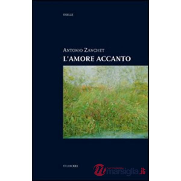 Amore accanto (L')